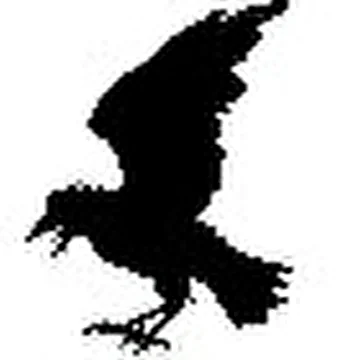 Никас & Гр.Black raven