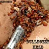 Bulldozer Head