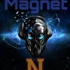 Magnet N