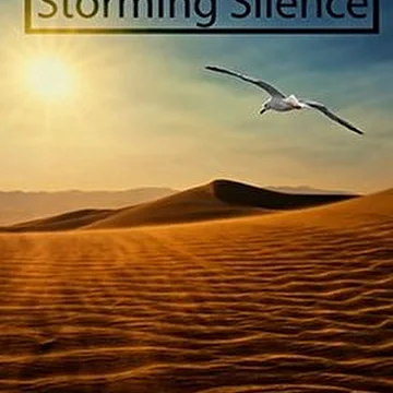 Storming Silence