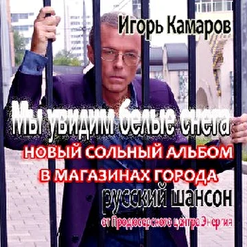 Игорь Камаров