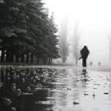 The Rain of Silence