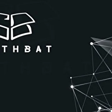 SynthBat