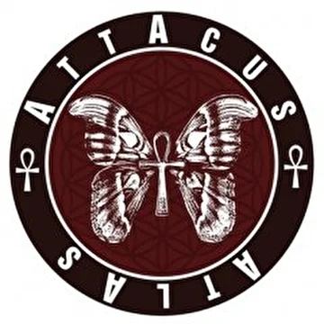 AttAcus Atlas