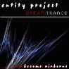 Entity Project