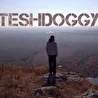 TeshDoggy work