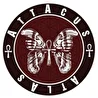 AttAcus Atlas
