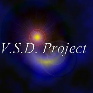 V.S.D. Project 