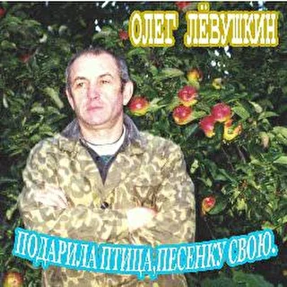 Олег Лёвушкин