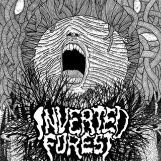 Inverted Forest