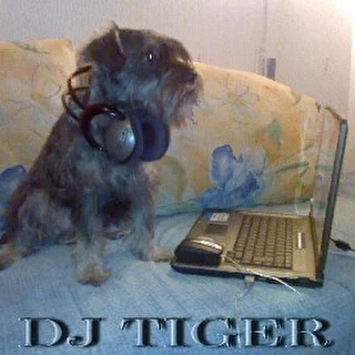 DJ Tiger