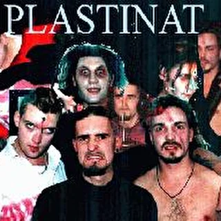 Plastinat