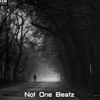 Not One Beatz