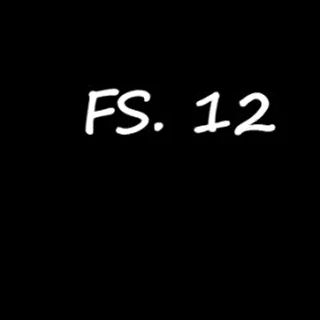 FS 12
