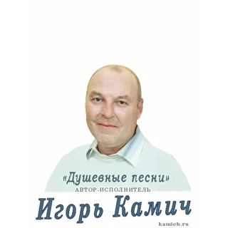 Игорь Камич