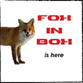Fox-In-Box